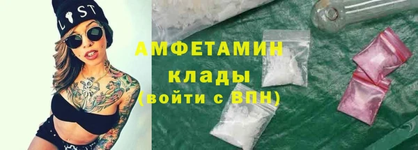хмурый Алексин