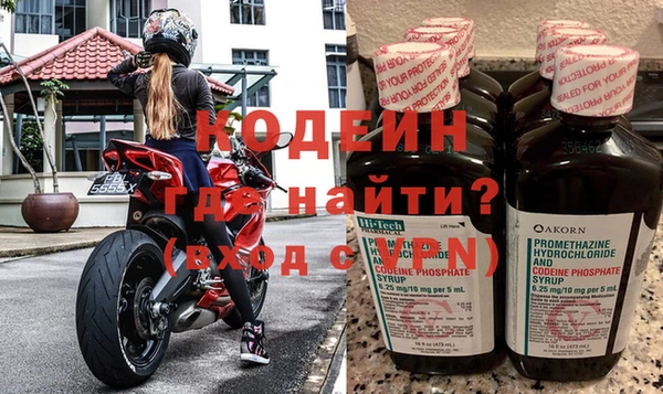 хмурый Алексин