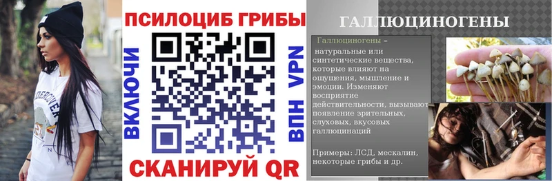 цены   Порхов  kraken маркетплейс  Псилоцибиновые грибы Cubensis 